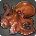 ffxiv koromo octopus.